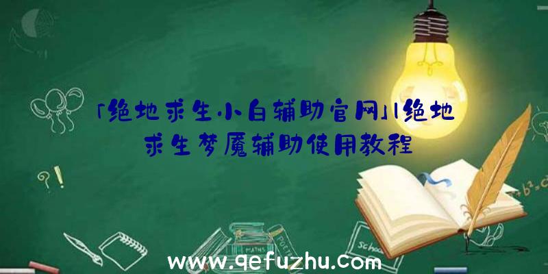 「绝地求生小白辅助官网」|绝地求生梦魇辅助使用教程